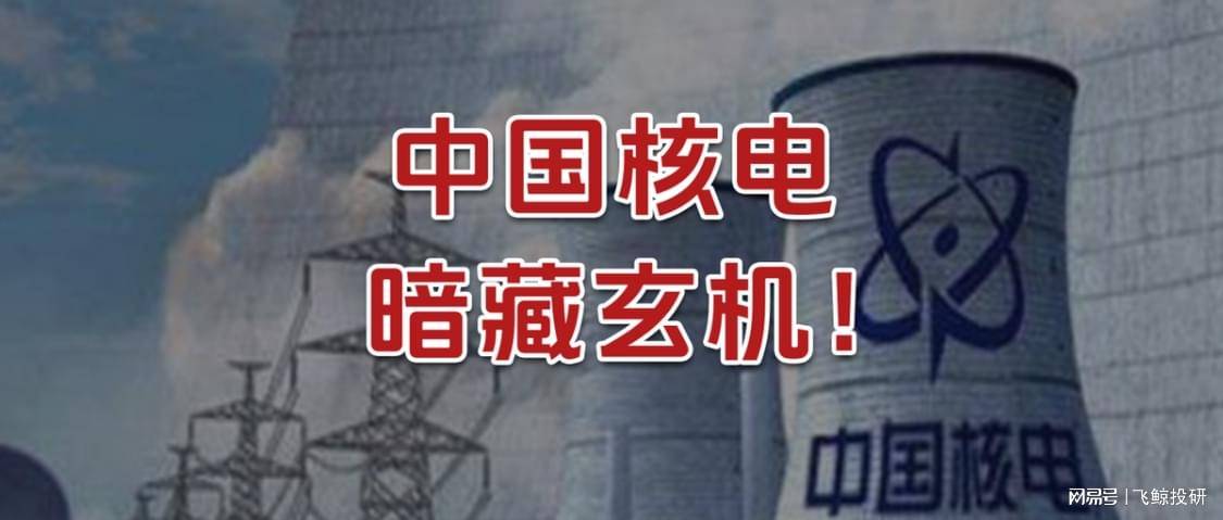 核能核电哪个是龙头(核能核电股哪个是龙头)