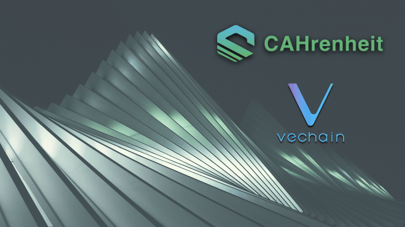 币赢CoinW交易平台(币赢coinw交易所官网)