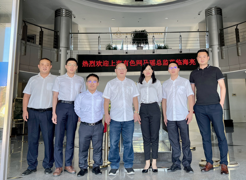 海亮股份哪个板块(海亮股份深度分析)