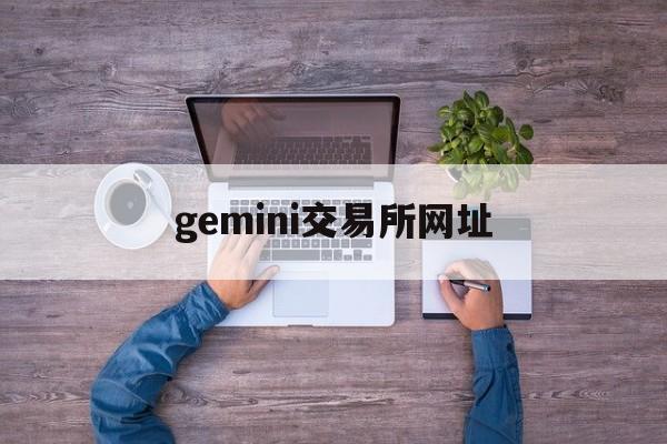 gemini交易所网址(gemini交易所下载安卓)